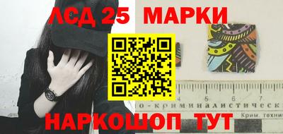 гидра Гатчина
