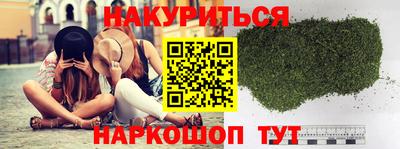 гидра Гатчина