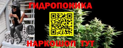 гидра Гатчина