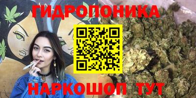 гидра Гатчина