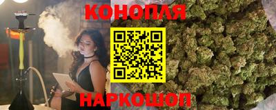 гидра Гатчина