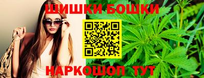 гидра Гатчина
